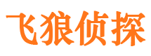 兰西市婚姻出轨调查